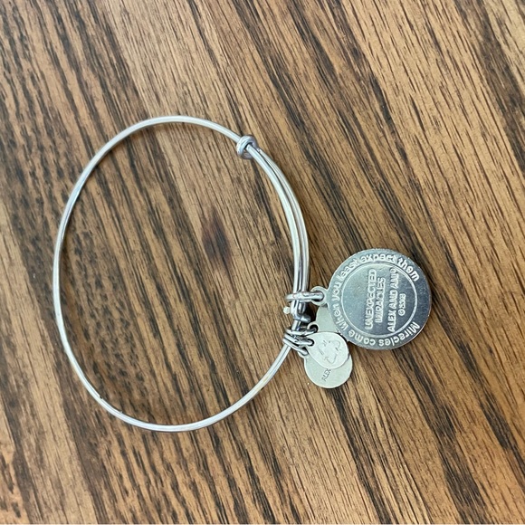 Alex and Ani charm bangle - Picture 3 of 3